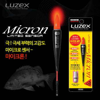 마이크론 – Micron